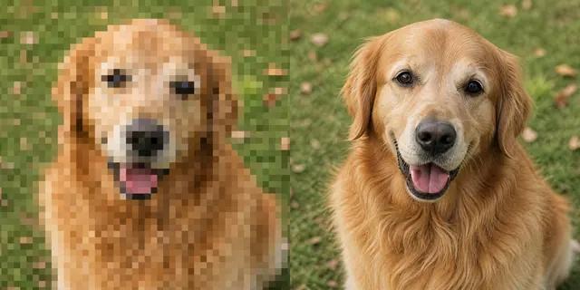 Pixeles, alacsony felbontású golden retriever fotó és élesre nagyított, részletgazdag változata