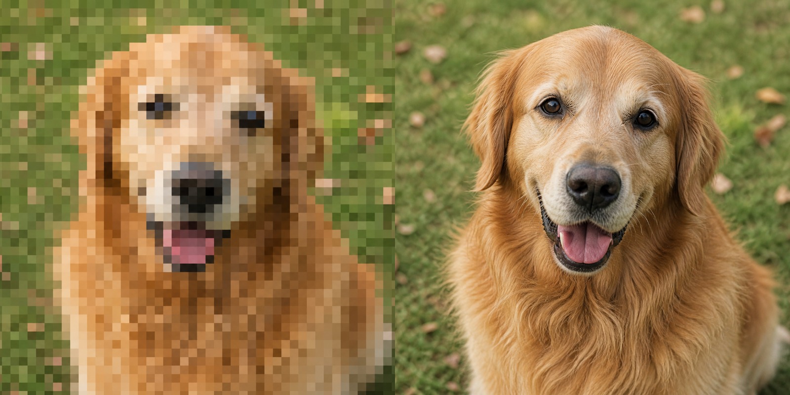 Pixeles, alacsony felbontású golden retriever fotó és élesre nagyított, részletgazdag változata